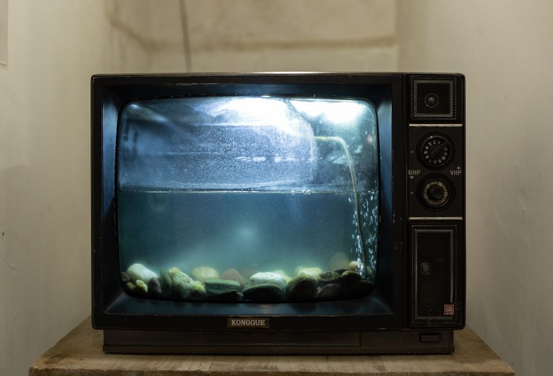 Photo Fish tank