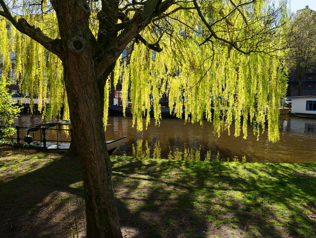 Photo Urban park