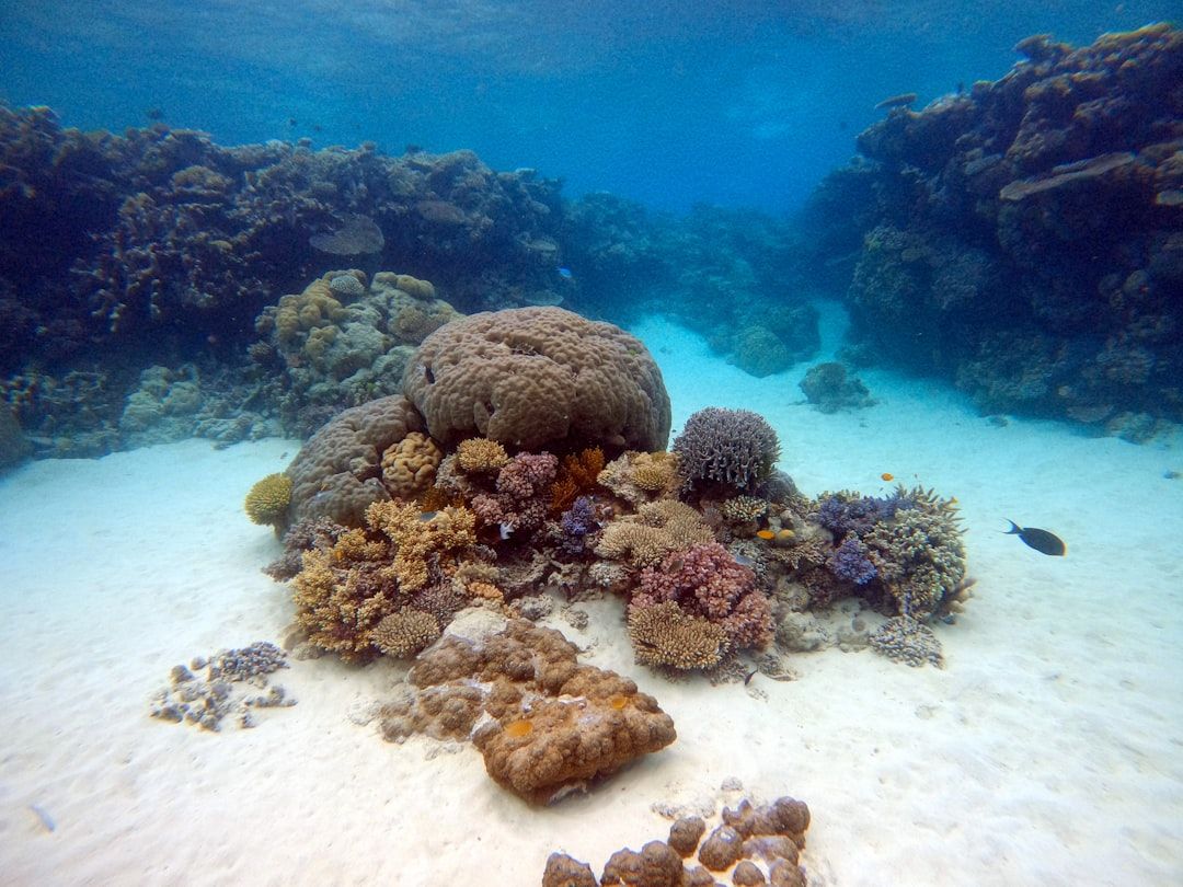 Photo Diving gear