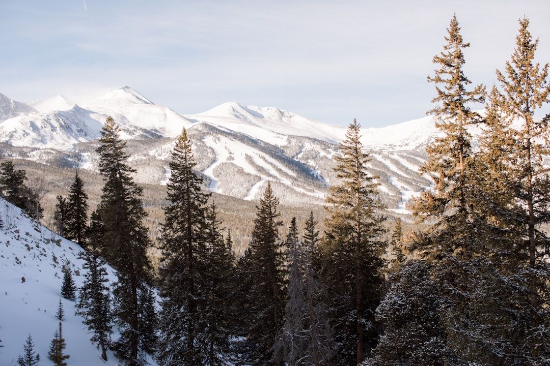 Photo Ski resort