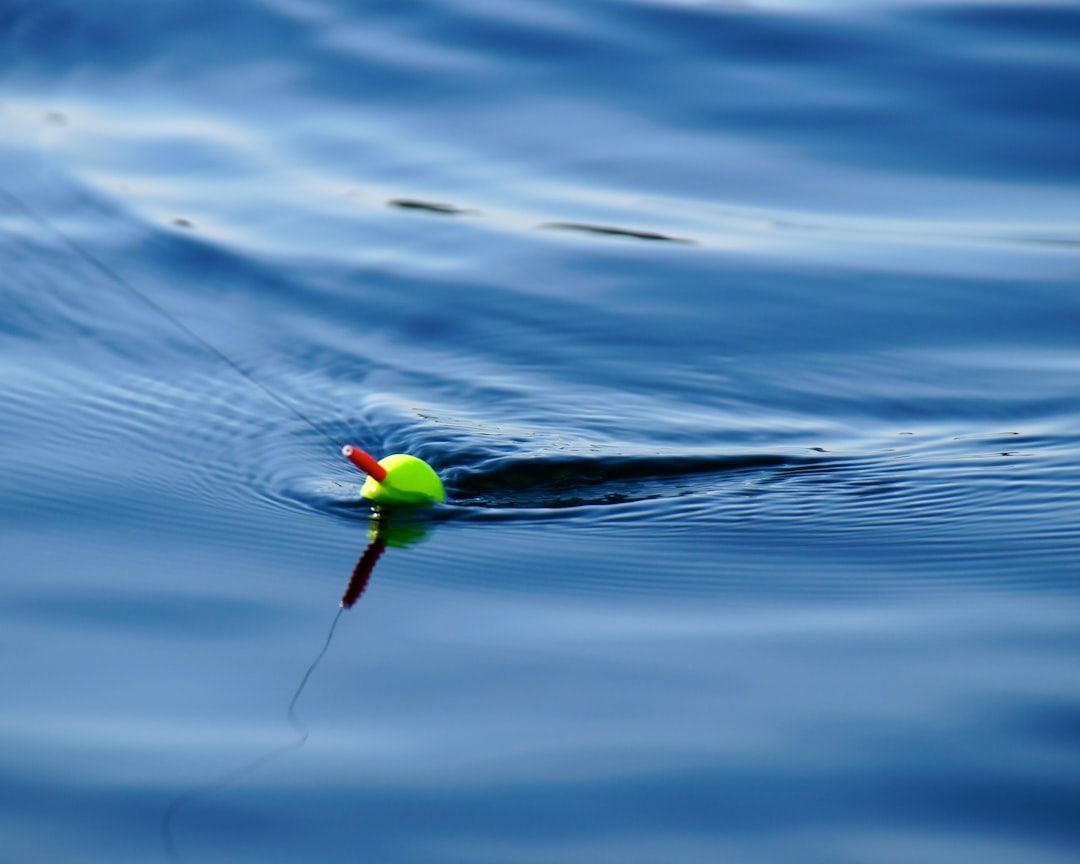 Photo Fishing rod