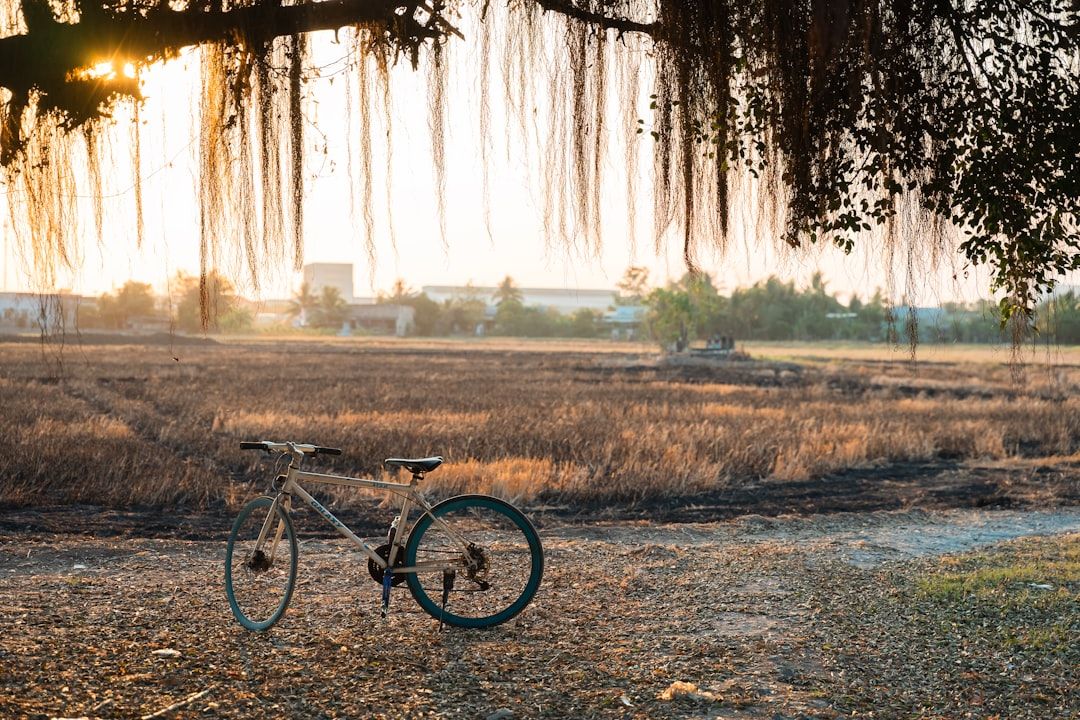 Photo Cycling in nature