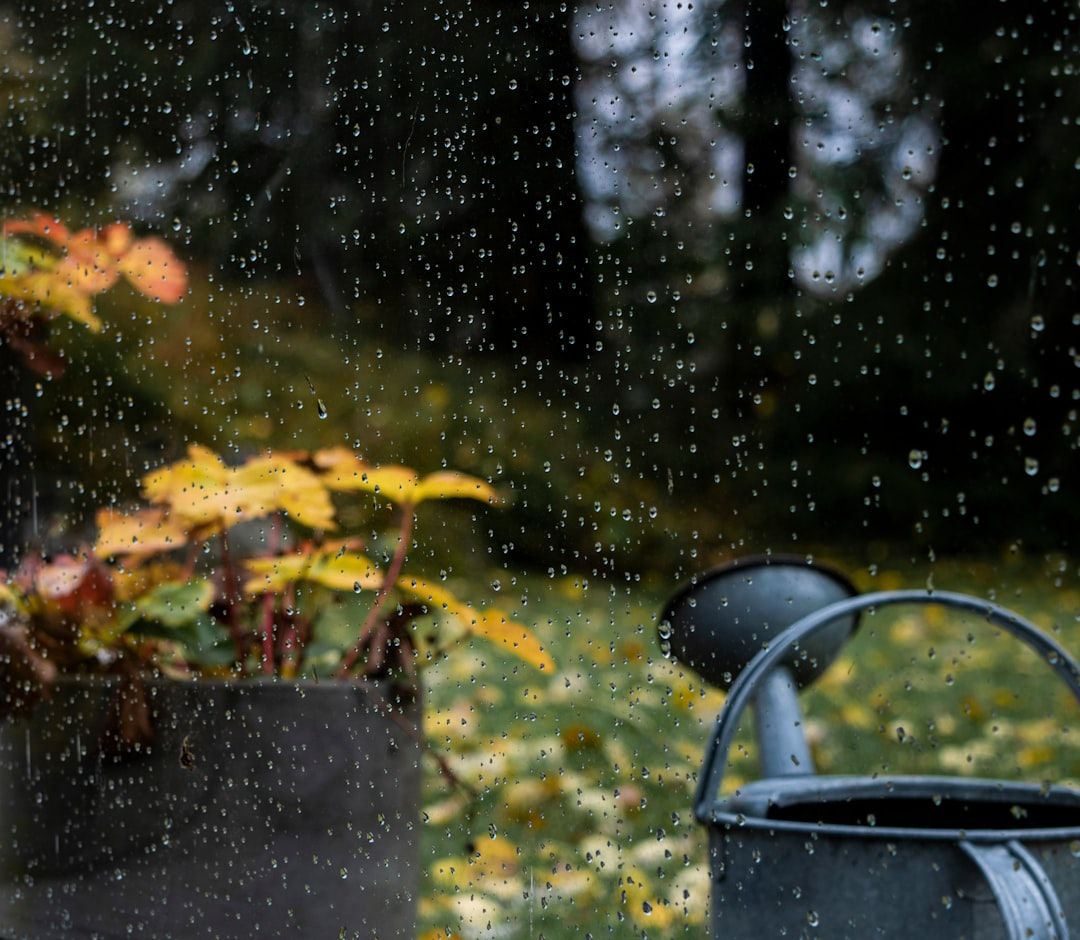 Photo Watering can