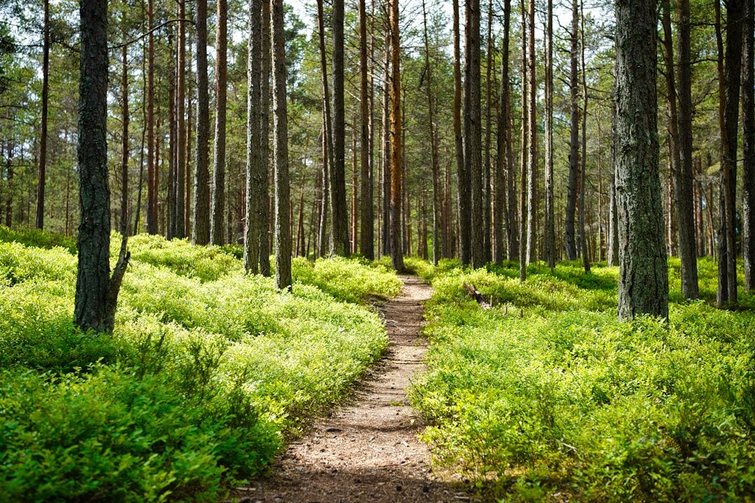 Photo Hiking trail