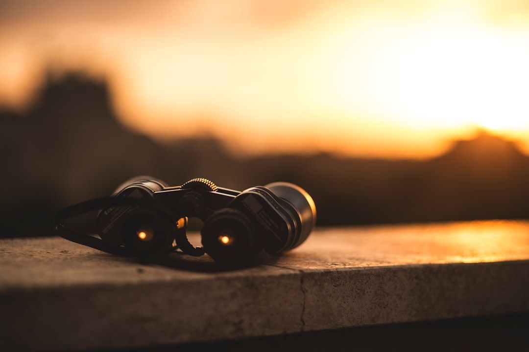 Photo Birdwatching binoculars